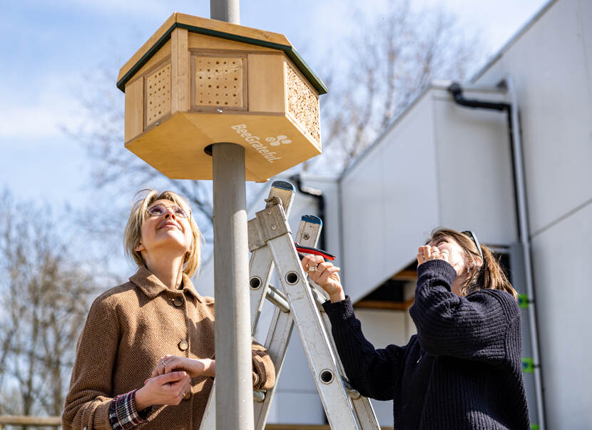 Florence van Haastrecht en Zoe van Helvoirt staan bij een Streetlight Bee&Bee