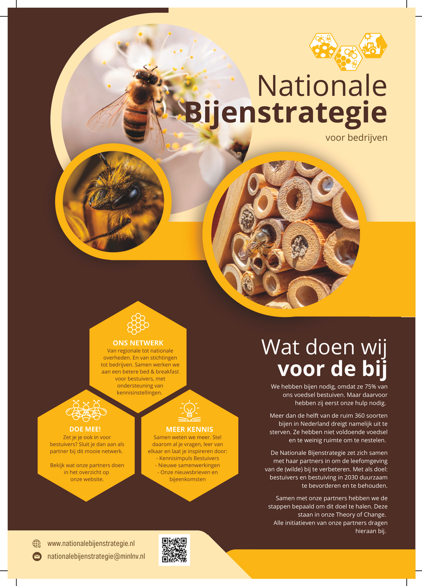 Flyer van de Nationale Bijenstrategie voor bedrijven met handige tips en websites om bestuivers te helpen. Ook vertellen we in het kort wat we doen en doen we een oproep om partner te worden.