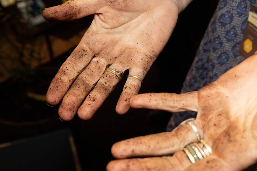 Handen met grond eraan nadat vrijwilligers een boom hebben geplant