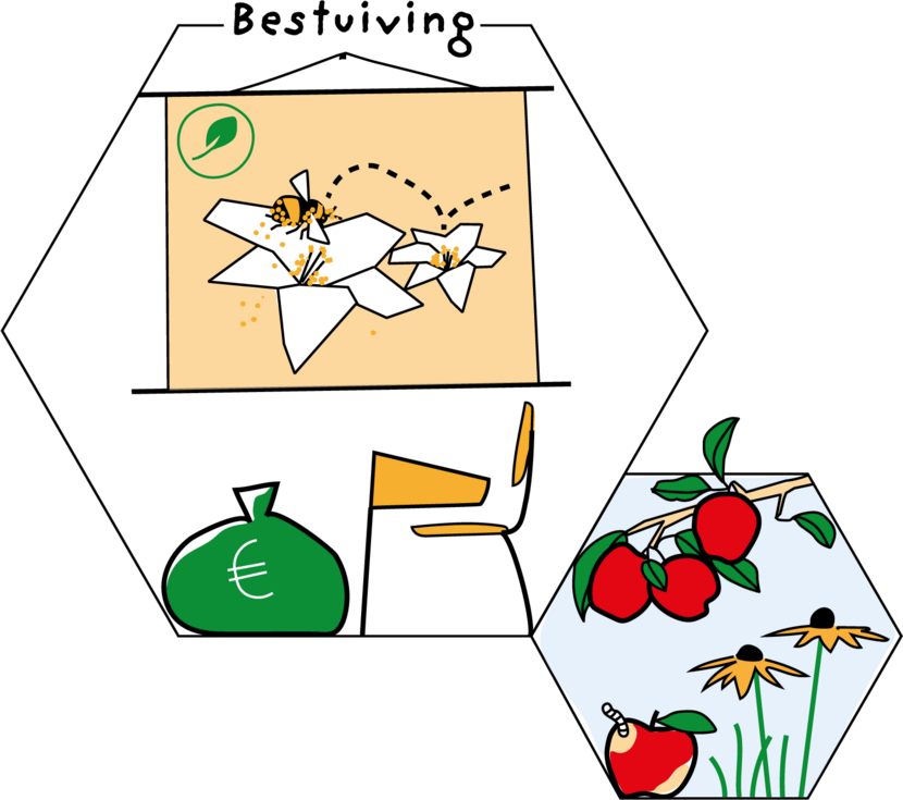 Tekening Theory of Change thema bestuiving