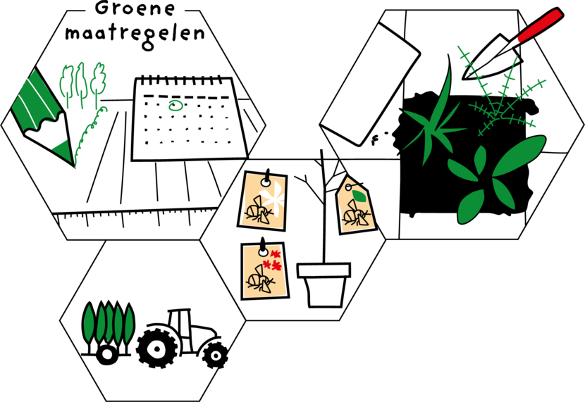 Tekening Theory of Change thema groene maatregelen