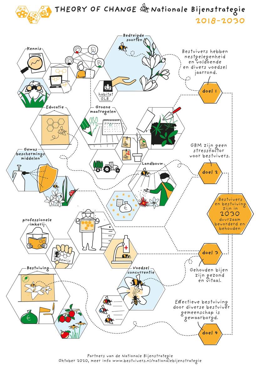 Tekening met alle thema's van de Theory of Change