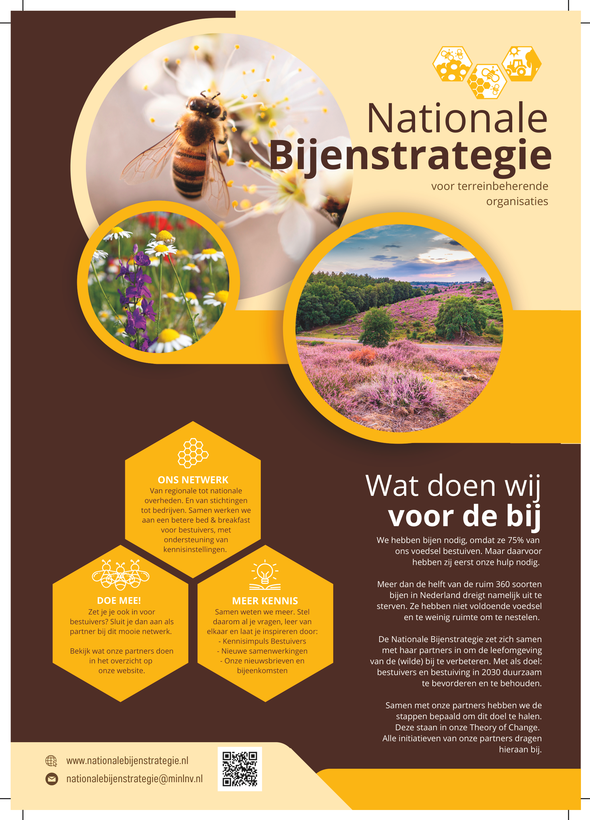 Flyer voor terreinbeherende organisaties met handige tips en websites om bestuivers te helpen. Ook vertellen we in het kort wat we doen en doen we een oproep om partner te worden.